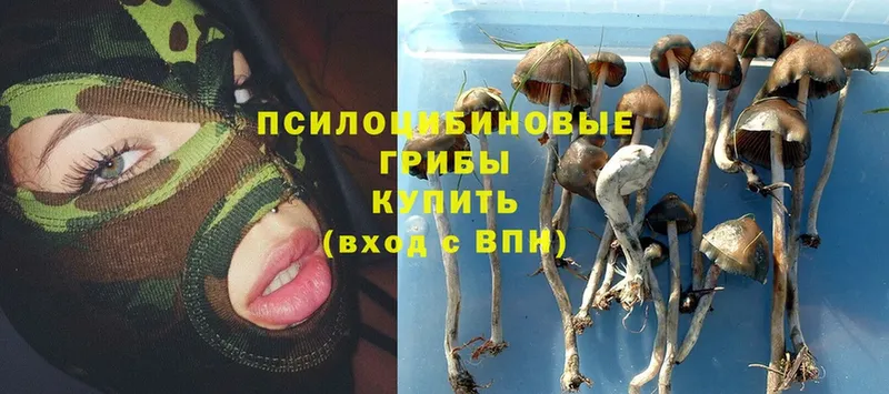 Галлюциногенные грибы Magic Shrooms  Уфа 